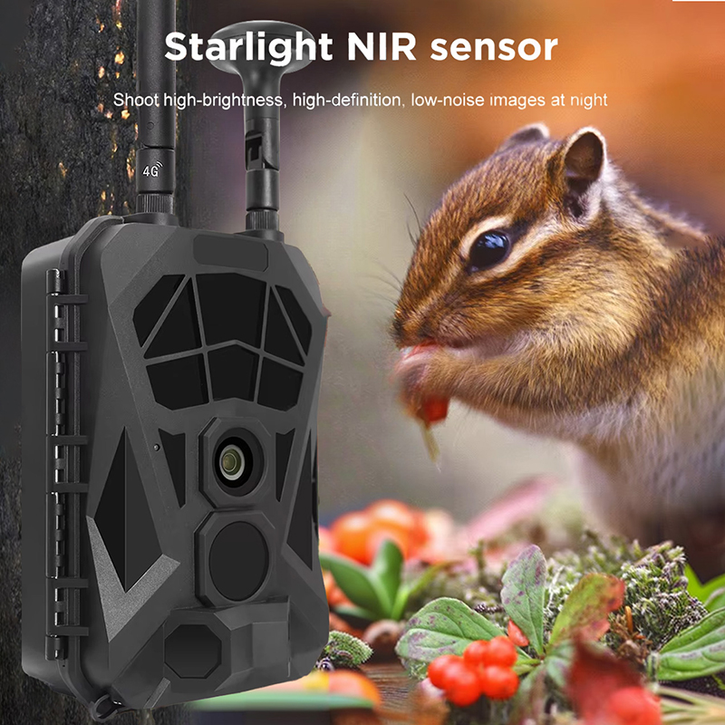 Outdoor Hunting Camera Wireless - Wildkamera 4G GPS Wireless Infrarot Long