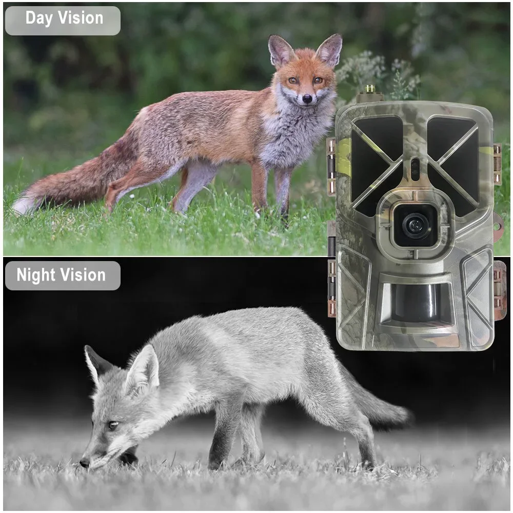 HC-935Pro 2K Outdoor Wildlife  – Outdoor Hunting Camera Wireless Bewertung und Preis