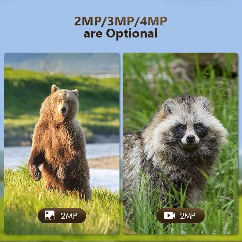 4G 4MP Outdoor Wildlife Huntin – Outdoor Hunting Camera Wireless Bewertung und Preis