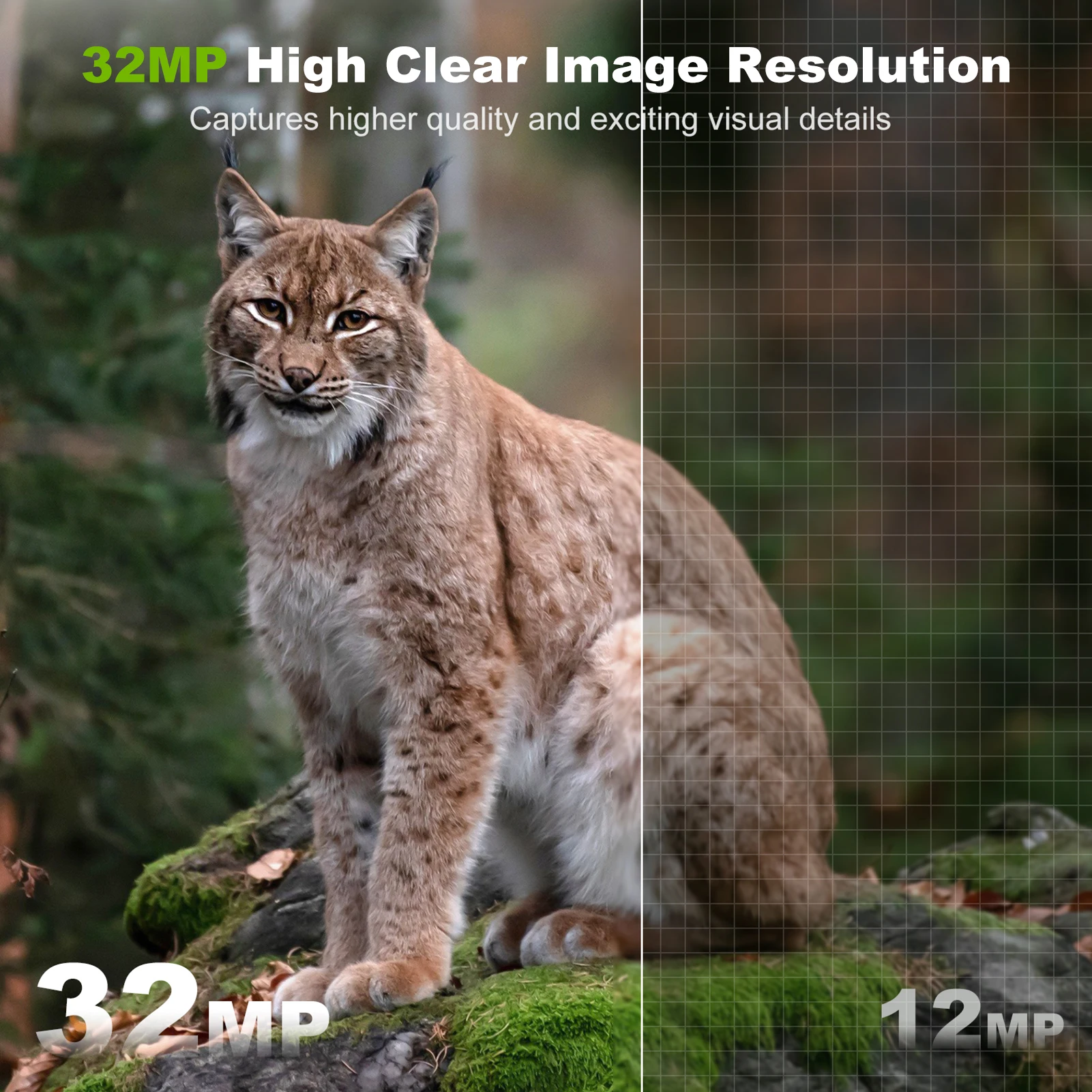 Solarkamera für den Außenberei – Outdoor Hunting Camera Wireless Bewertung und Preis