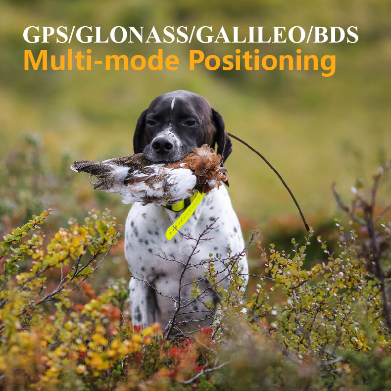 Globaler GPS-Haustier-Tracker  – Outdoor Hunting Dog Supply Bewertung und Preis